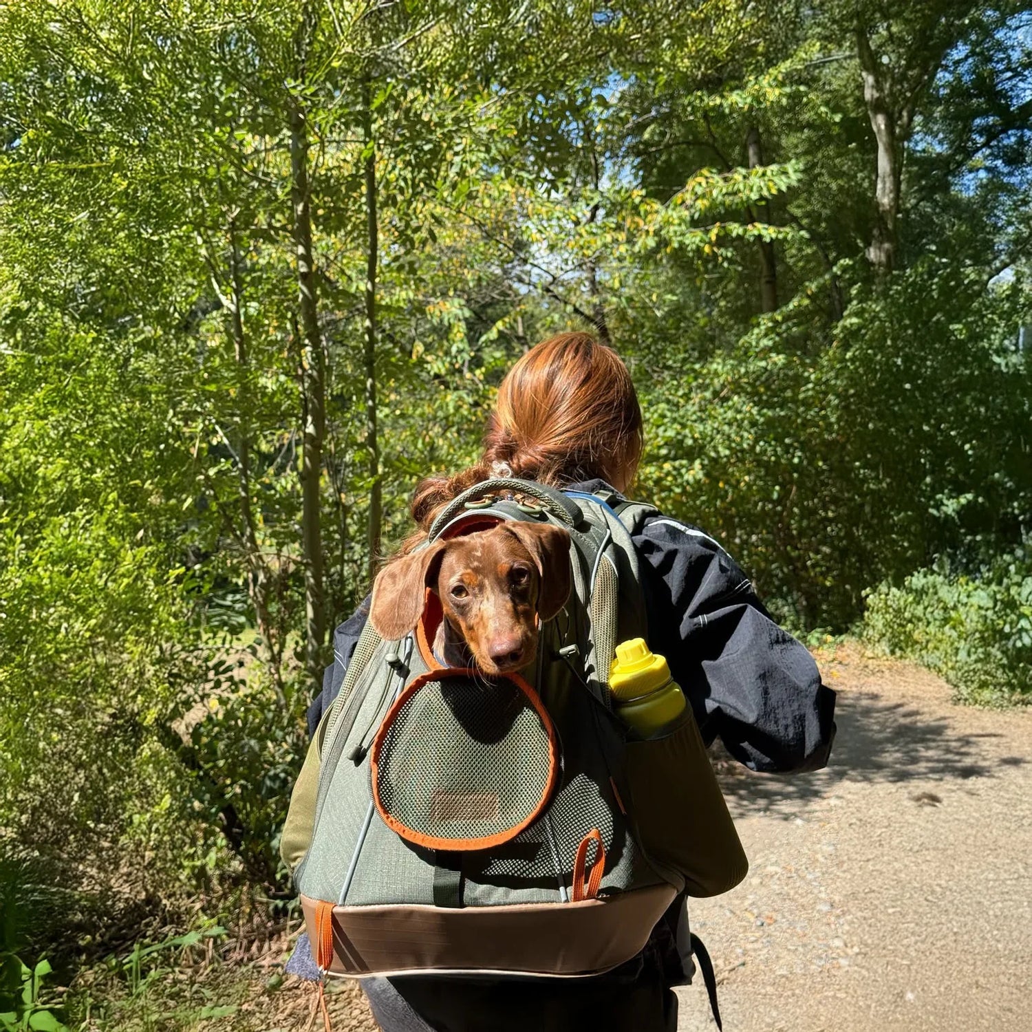 Hiking