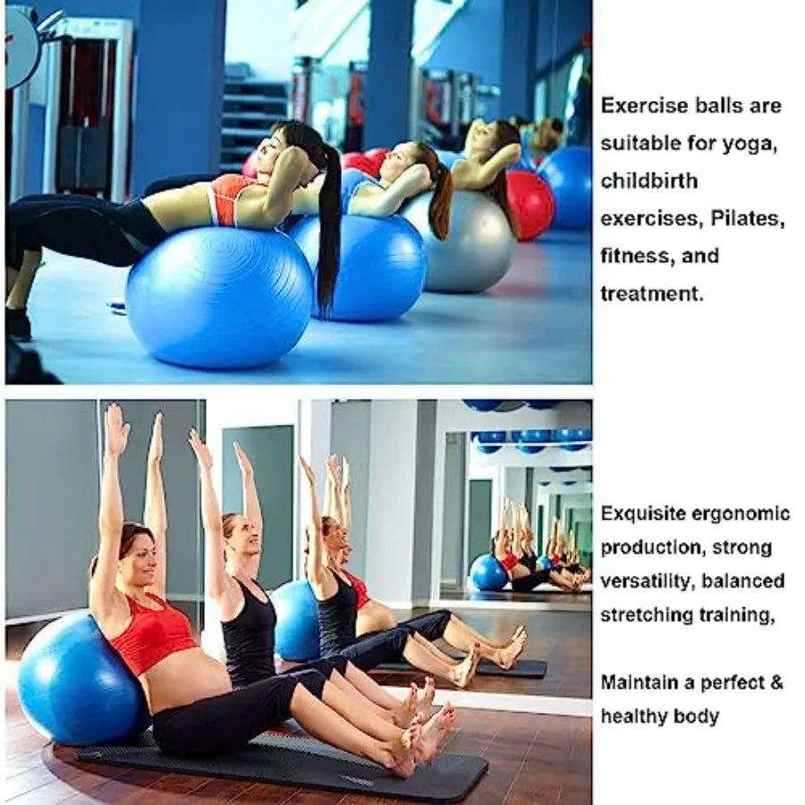 Exercise Yoga Ball, Explosion-Proof Stability Ball 25in/65cm with Pump, Elastic Birthing Balance Balls for Fitness/Balance/Work
